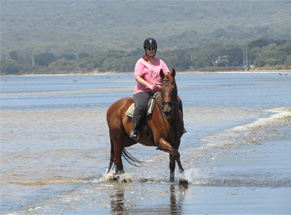 Photograph of Horse and Rider at Cosy Corner Beach, Albany, Western Australia